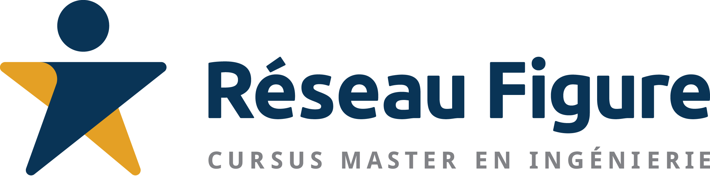 logo réseau Figure